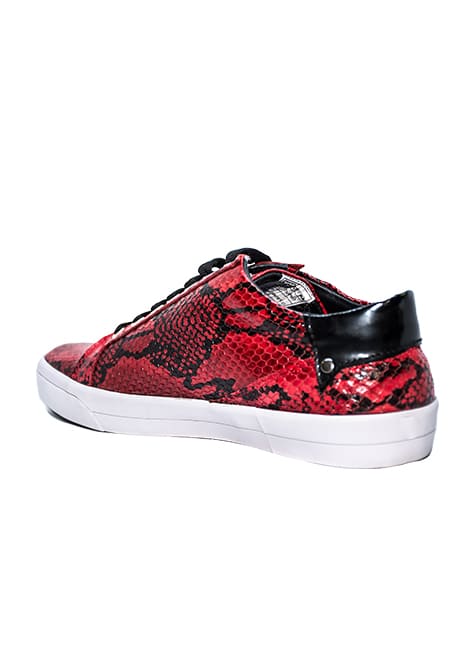 zapato-07-1.jpg